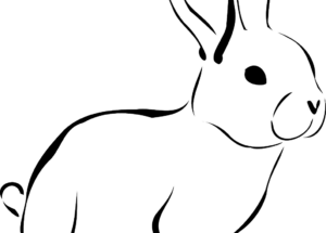 rabbit-g85d400d19_1280 rabbit-g85d400d19_1280